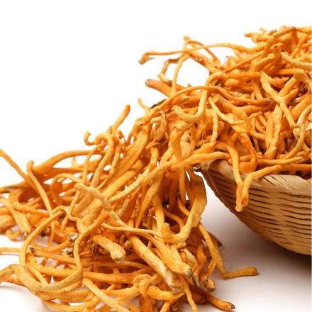 Cordyceps Mushrooms