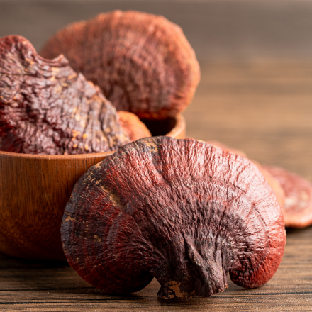 Reishi Mushrooms