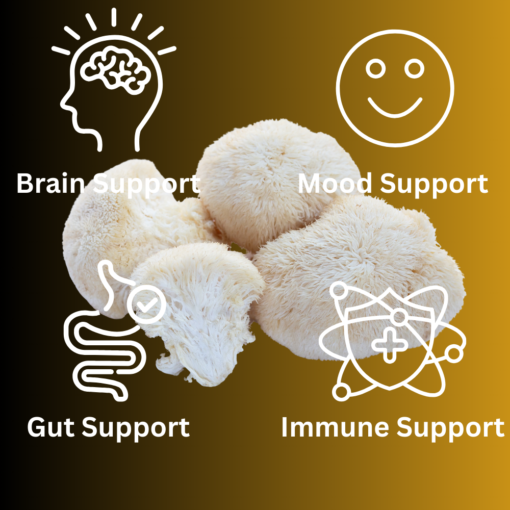 Lion's Mane Mushroom Alcohol Free Tincture