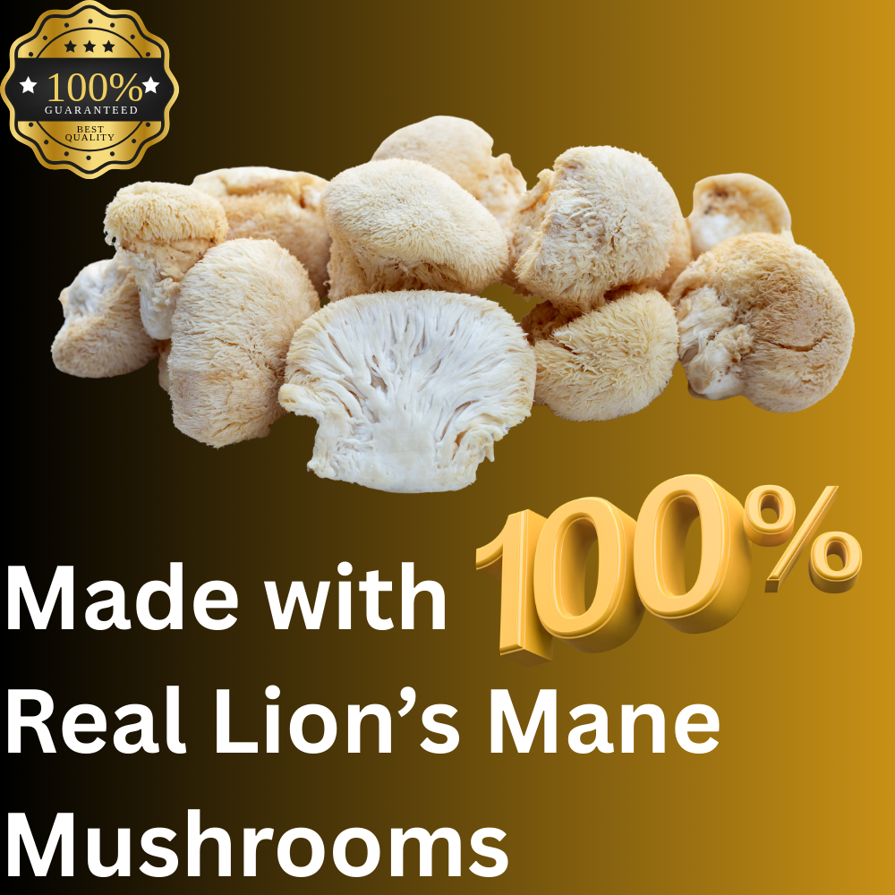 Lion's Mane Mushroom Alcohol Free Tincture