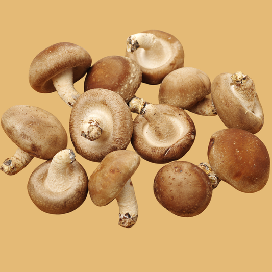 Shiitake Fresh Mushrooms